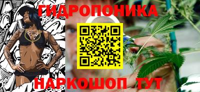 винт Дубна